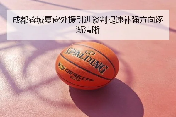 成都蓉城夏窗外援引进谈判提速补强方向逐渐清晰