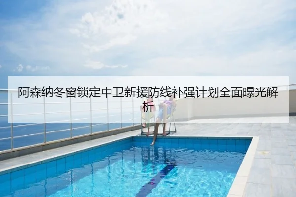 阿森纳冬窗锁定中卫新援防线补强计划全面曝光解析
